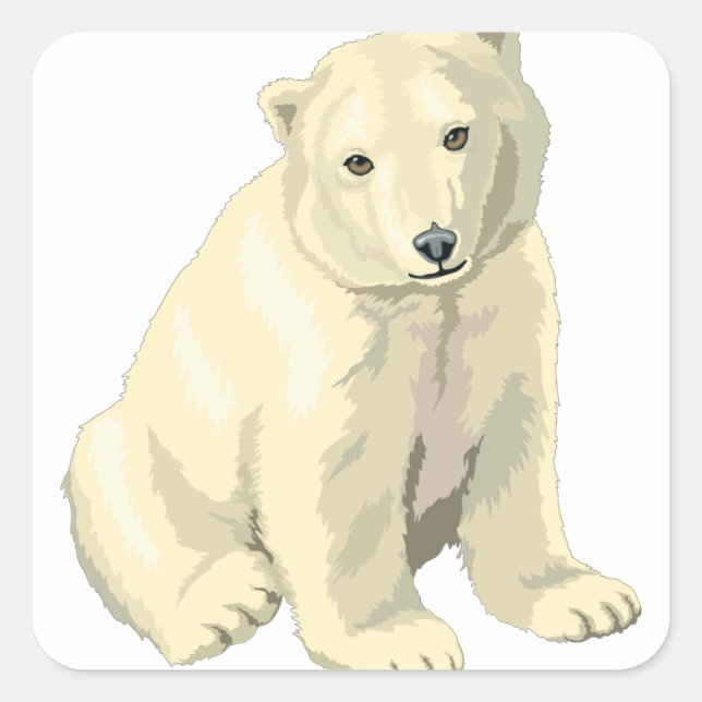 Cudly Polar Bär Quadratischer Aufkleber (Vorderseite)