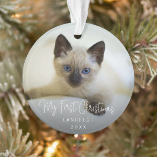 Cuisine moderne Photo Kitten Chat Premier Noël