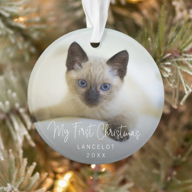 Cuisine moderne Photo Kitten Chat Premier Noël (Arbre)