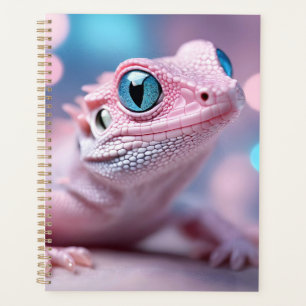 Cuisine Petit Lézard Rose aux Grands Yeux Bleus