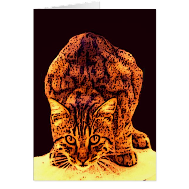 CUISINE WILD CAT (Devant)