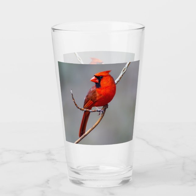 Culbuteur en verre cardinal du nord (Devant)
