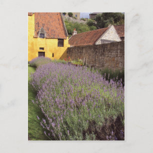 Culross Palace - Der Garten vor der Tür Postkarte