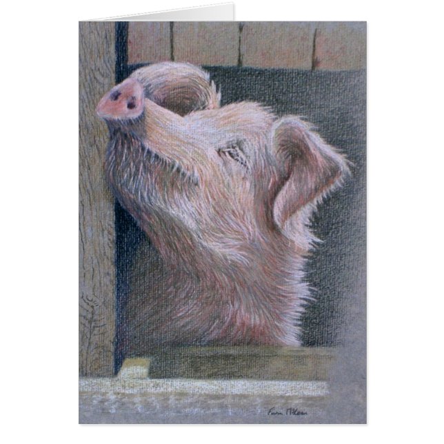 Culte de Sun (Devant)