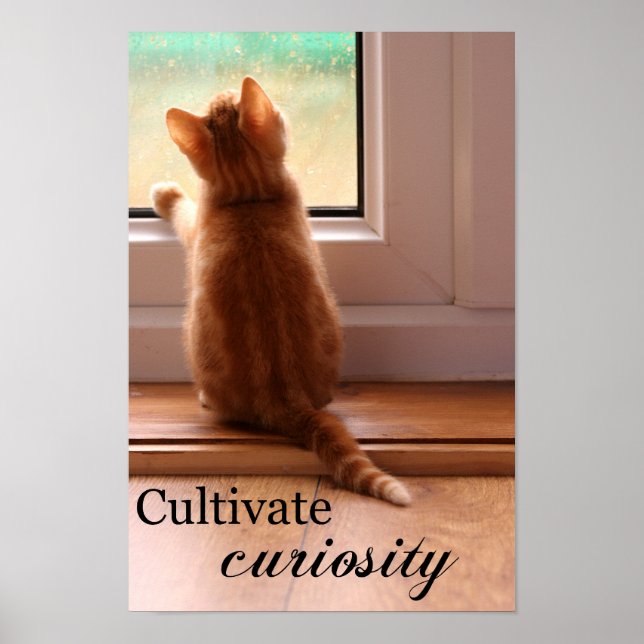 Cultiver Curiosity extra petit poster (Devant)