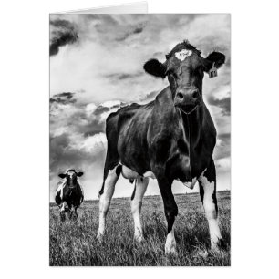 Culture de attente de BW