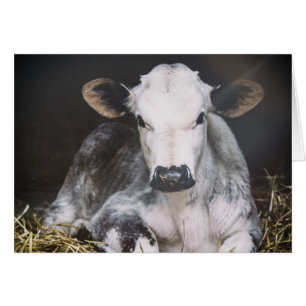 Culture occupée de jour