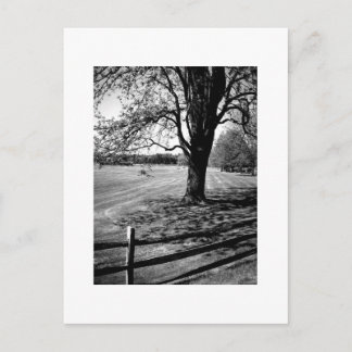 Culver Academies, Schwarz und Weiß Postkarte