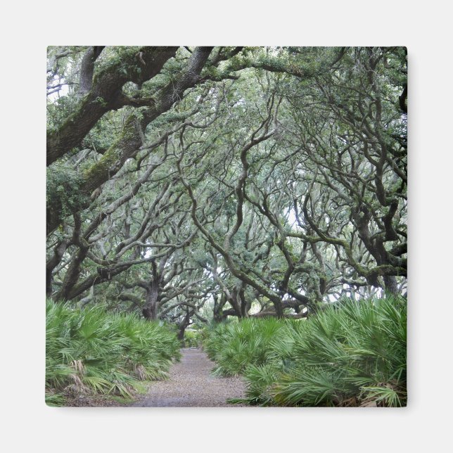 Cumberland Island Magnet (Vorne)