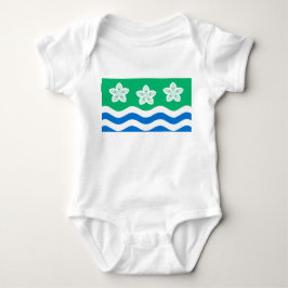 Cumberland (UK-Landkreis) Baby Strampler