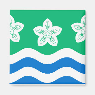 Cumberland (UK-Landkreis) Magnet