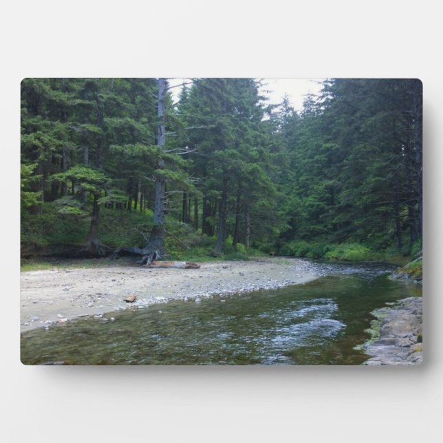 Cummins Creek im Neptune Staat Park, OR Fotoplatte (Vorderseite)