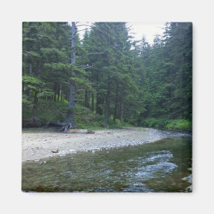 Cummins Creek im Neptune Staat Park, OR Magnet