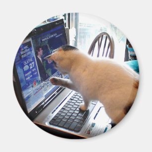Cumputer Katzen-Magnet Magnet