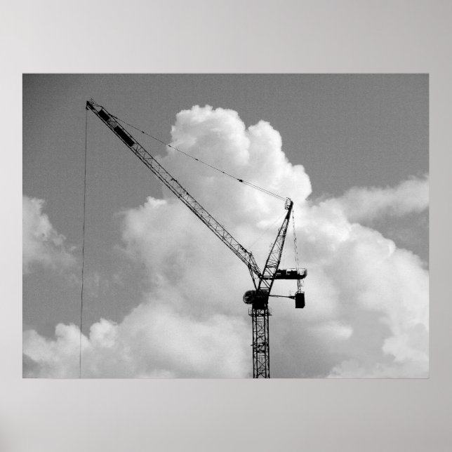Cumulonimbus Crane - Black and White Poster (Vorne)