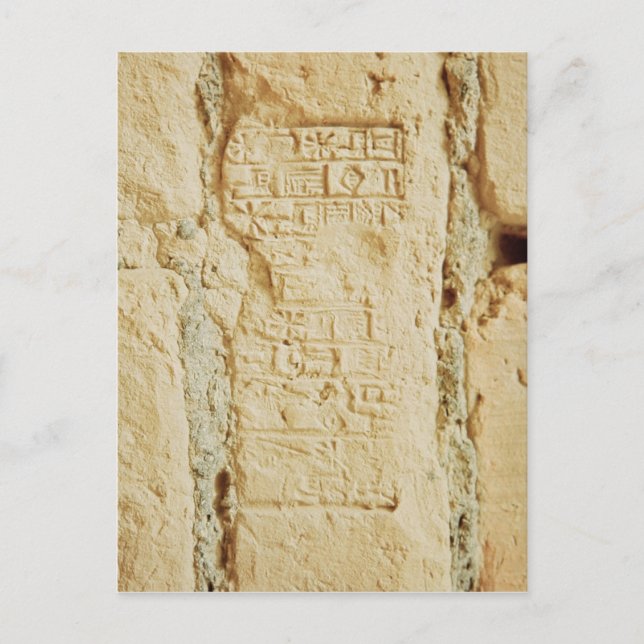 Cuneiform-Skript auf einer Palmwand Postkarte (Vorderseite)