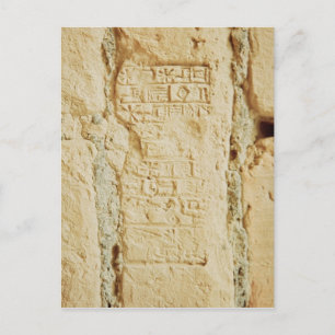 Cuneiform-Skript auf einer Palmwand Postkarte