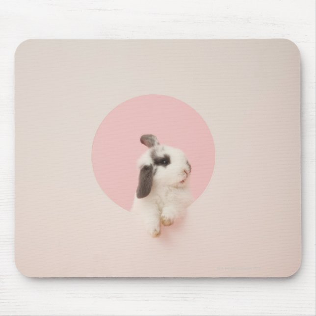 Cuniculus Mousepad (Vorne)