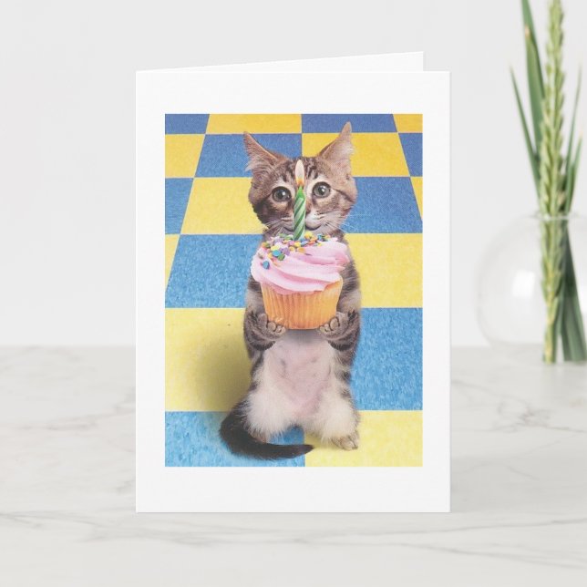 Cupcake Cat Geburtstagskarte Karte (Vorderseite)
