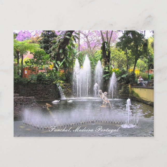 Cupids Water spuntains Funchal, Madeira (Portugal) Postkarte (Vorderseite)