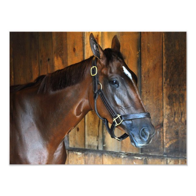 Curalina Fotodruck (Vorne)