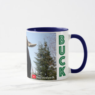 Curieusement tasse de chèvre d'Adirondack (MÂLE)