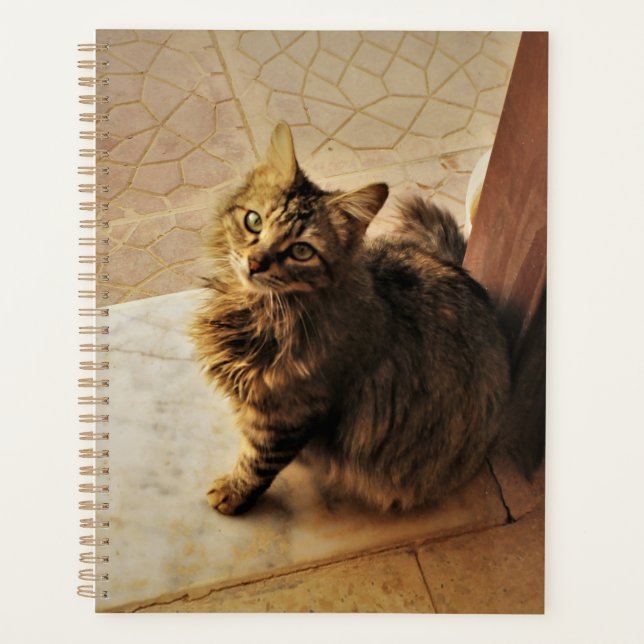 Curieux Carnet Kitty (Devant)