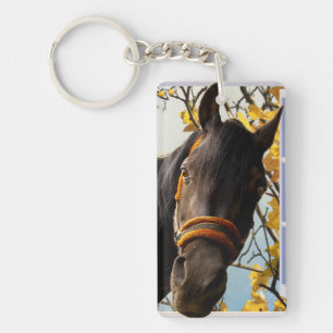 Curieux Cheval À Travers La Fenêtre De La Cuisine