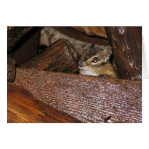Curieux Chipmunk Carte de voeux