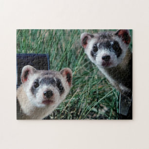 Curieux furets, puzzle