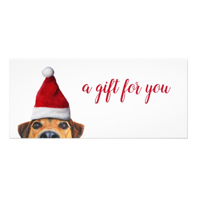 Curieux mignon chien drôle avec carte cadeau de Sa (Devant)