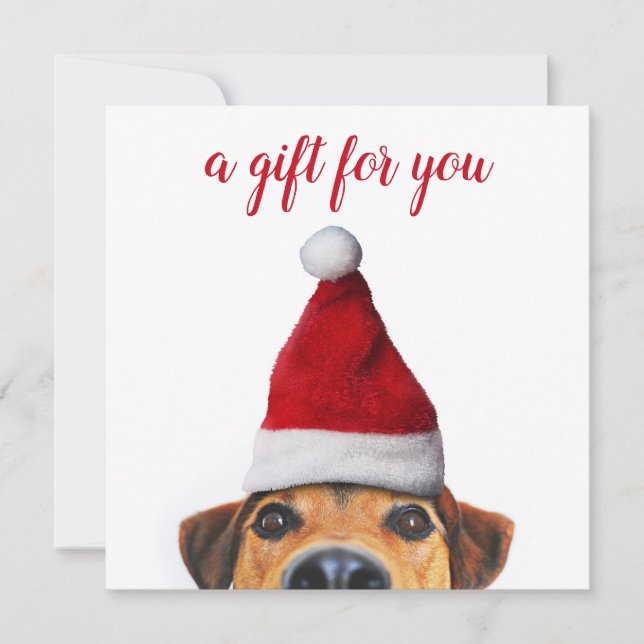 Curieux mignon chien drôle avec carte cadeau de Sa (Devant)