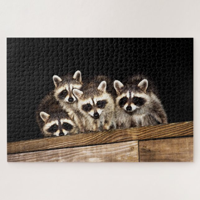 Curieux Raccoon Famille, Jigsaw Puzzle (Horizontal)