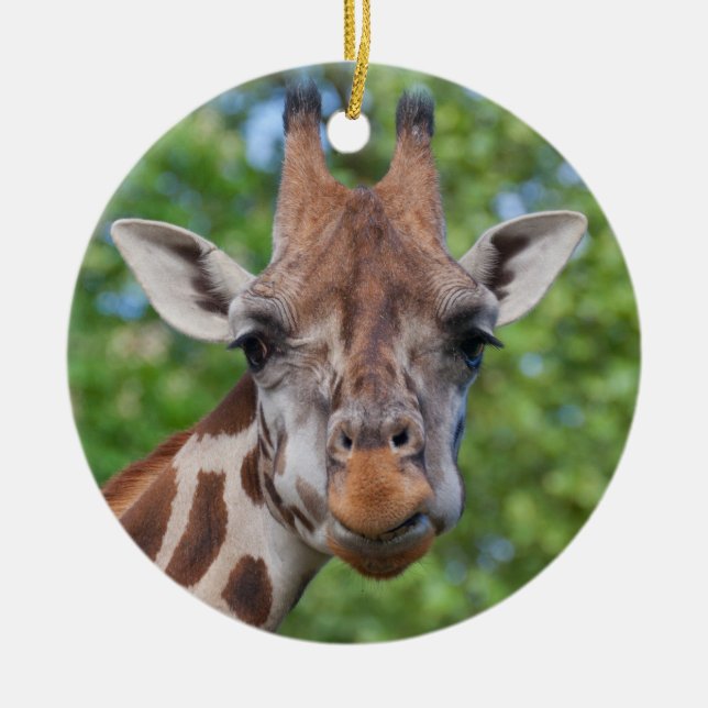 Curios Giraffe Keramikornament (Vorne)