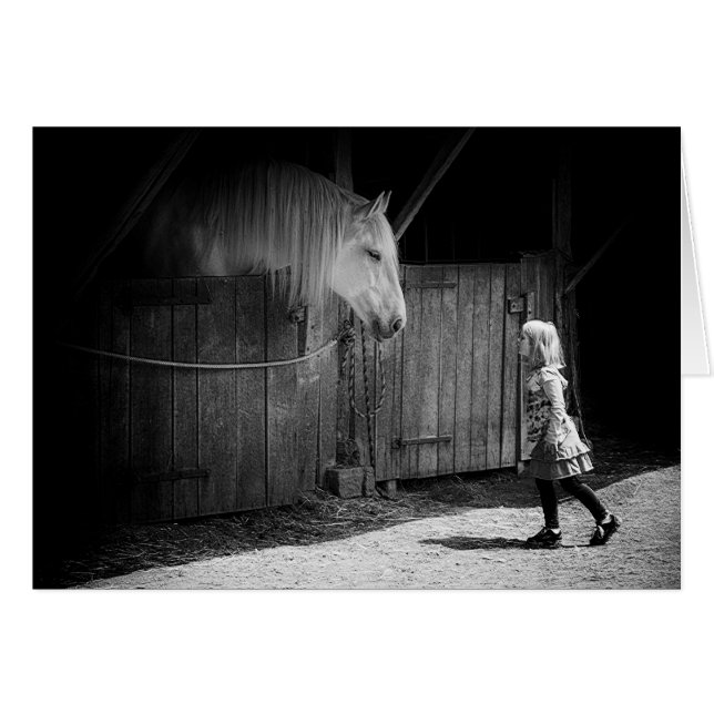 Curiosité mutuelle (Devant horizontal)