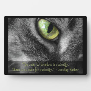 Curiosity Chat avec Parker citation plaque