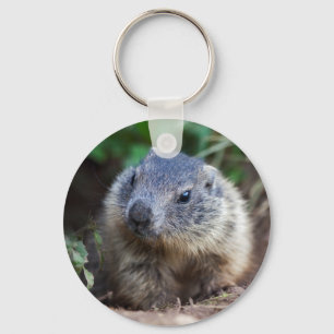 Curious Baby Marmot Keyring Schlüsselanhänger