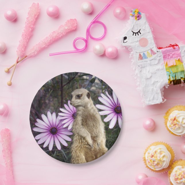 Curious Bloom: Meerkat unter den Lila Tageszeitung Pappteller (Party)