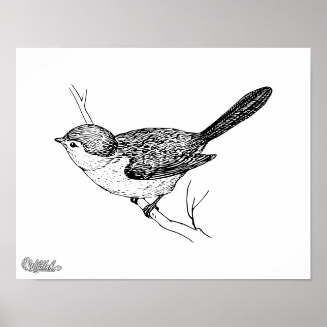 Curious Bushtit Bird Sketch Poster (Vorne)