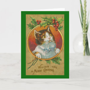 Curious Cat Christmas Card Feiertagskarte