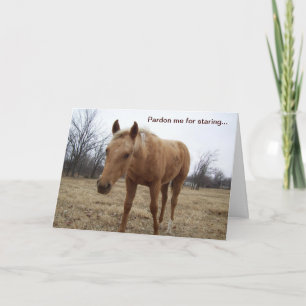 Curious Colt - Geburtskarte Karte