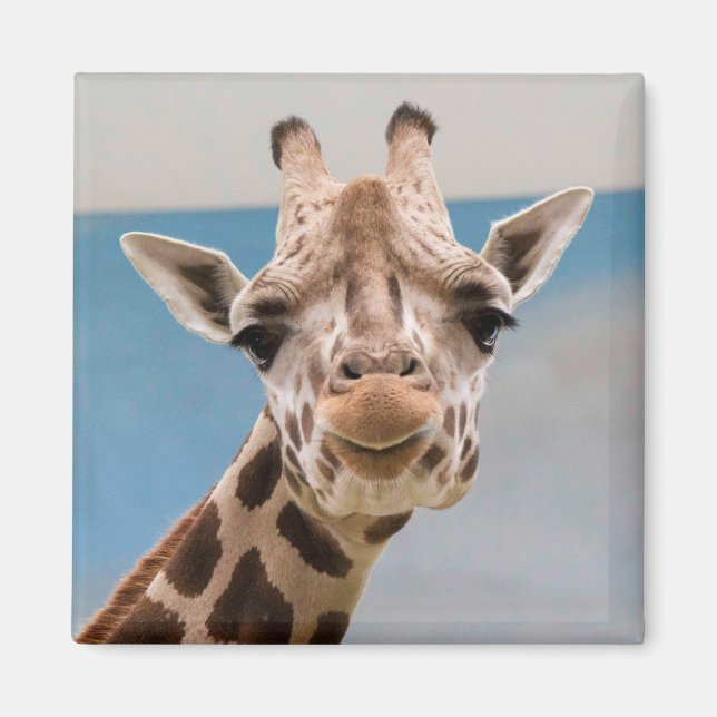 Curious Giraffe Portrait Magnet (Vorne)