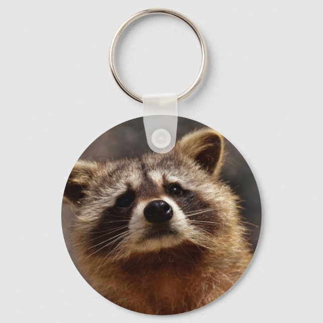 Curious Raccoon Schlüsselanhänger (Vorderseite)