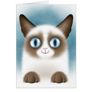 Curious Siamese Kitten