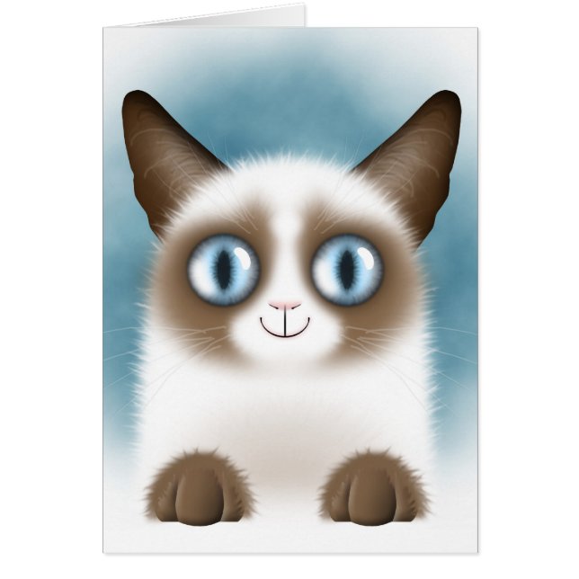 Curious Siamese Kitten (Vorne)