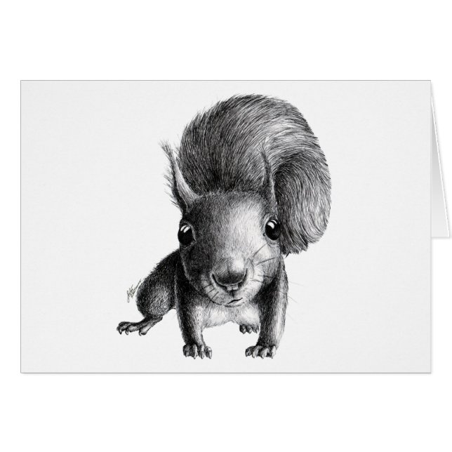 Curious Squirrel (Vorderseite (Horizontal))