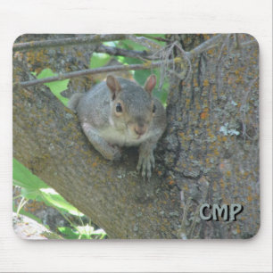 Curious Squirrel in Tree with Your Initials Mousepad