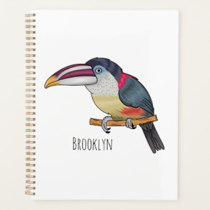 Curl crested aracari bird cartoon