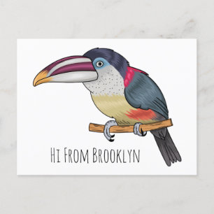 Curl crested aracari bird cartoon illustration postkarte