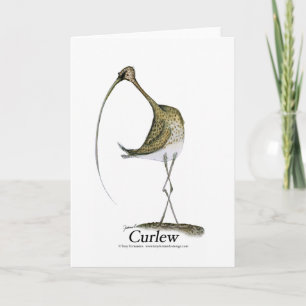 curlew, tony fernandes karte